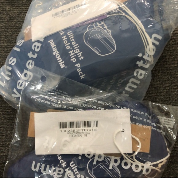 Patagonia Ultralight Hip Pack Fanny Waist Bum Belt Bag Fresh Teal 1 Liter NWT - Picture 4 of 5